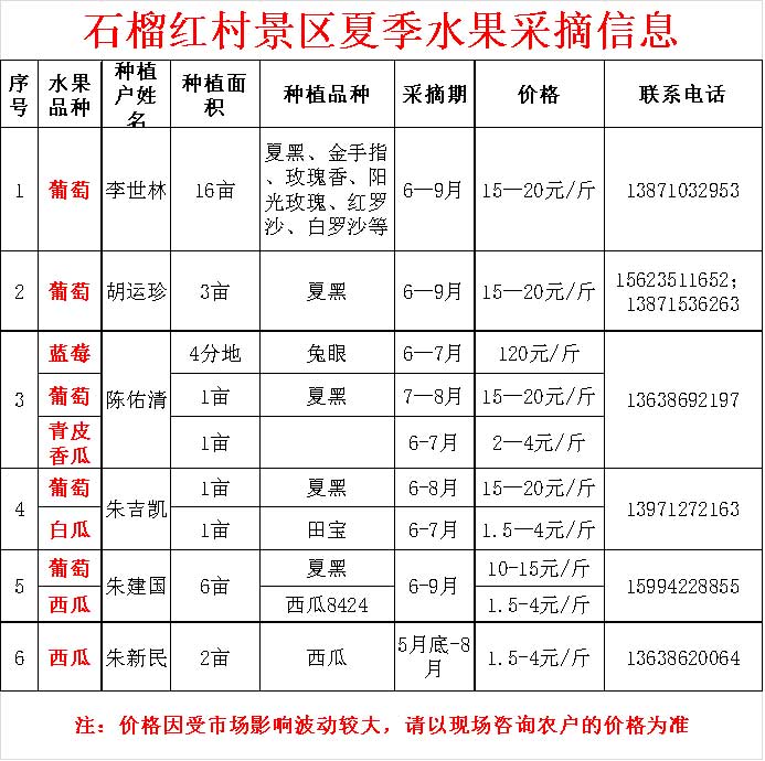 香港公开免费资料大全