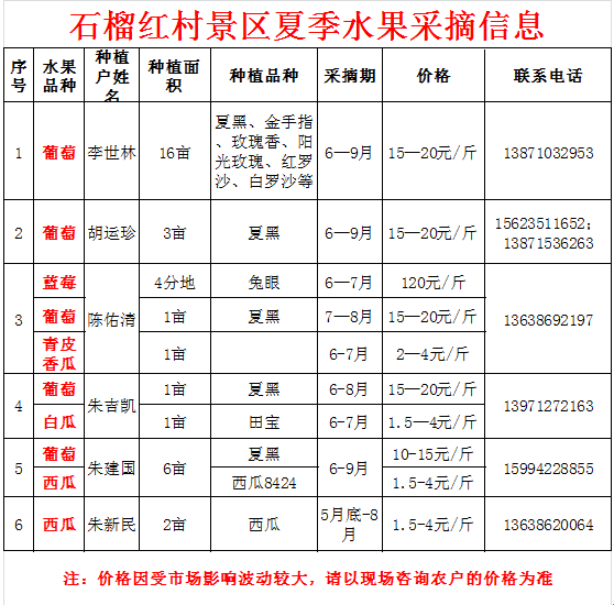 香港公开免费资料大全