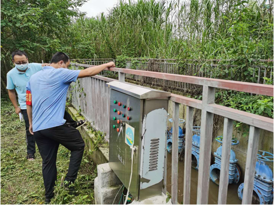 香港公开免费资料大全